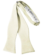 Load image into Gallery viewer, Cardi Self Tie Ivory Palermo Bow Tie