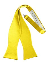 Load image into Gallery viewer, Cardi Self Tie Sunbeam Luxury Satin Bow Tie