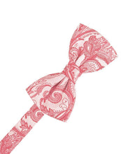Load image into Gallery viewer, Cardi Pre-Tied Guava Tapestry Bow Tie