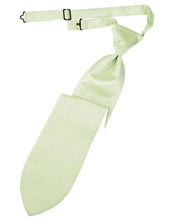 Load image into Gallery viewer, Cardi Pre-Tied Pistachio Herringbone Necktie