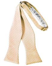Load image into Gallery viewer, Cardi Self Tie Peach Palermo Bow Tie