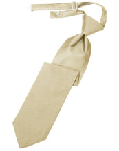 Load image into Gallery viewer, Cardi Pre-Tied Bamboo Luxury Satin Necktie
