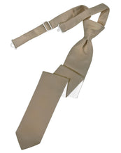 Load image into Gallery viewer, Cardi Pre-Tied Latte Luxury Satin Skinny Necktie