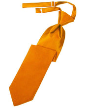Load image into Gallery viewer, Cardi Pre-Tied Mandarin Luxury Satin Necktie