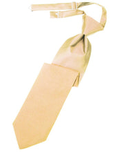 Load image into Gallery viewer, Cardi Pre-Tied Peach Luxury Satin Necktie