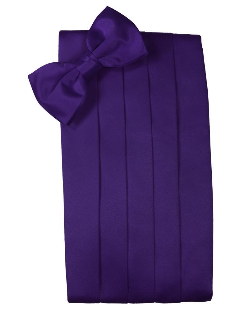 Cardi Purple Luxury Satin Cummerbund