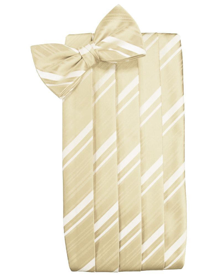 Cardi Bamboo Striped Satin Cummerbund