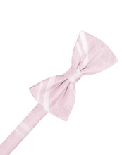 Load image into Gallery viewer, Cardi Pre-Tied Blush Striped Satin Bow Tie