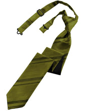 Load image into Gallery viewer, Cardi Pre-Tied Fern Striped Satin Skinny Necktie
