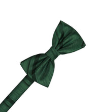 Load image into Gallery viewer, Cardi Pre-Tied Holly Striped Satin Bow Tie