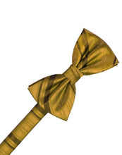 Load image into Gallery viewer, Cardi Pre-Tied New Gold Striped Satin Bow Tie