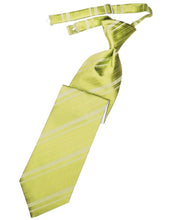 Load image into Gallery viewer, Cardi Pre-Tied Willow Striped Satin Necktie
