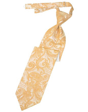 Load image into Gallery viewer, Cardi Pre-Tied Apricot Tapestry Necktie