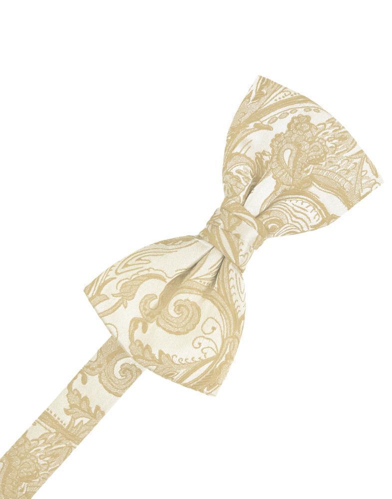 Cardi Pre-Tied Golden Tapestry Bow Tie