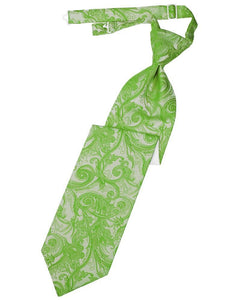 Cardi Pre-Tied Kelly Tapestry Necktie