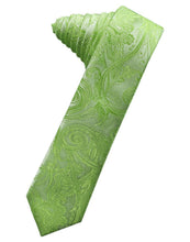 Load image into Gallery viewer, Cardi Self Tie Kelly Tapestry Skinny Necktie