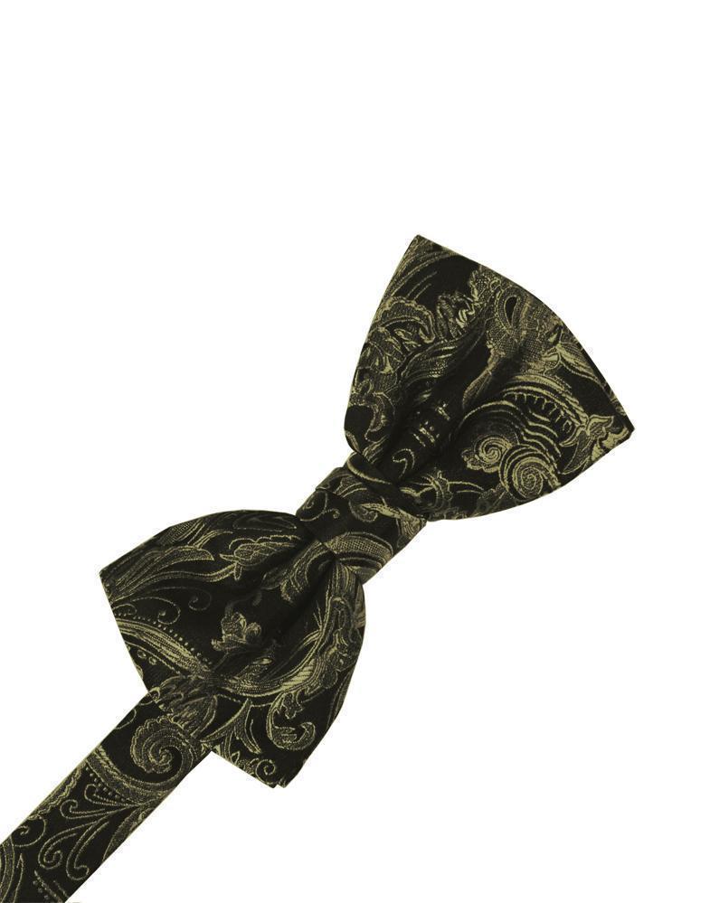 Cardi Pre-Tied Moss Tapestry Bow Tie