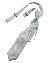 Load image into Gallery viewer, Cardi Pre-Tied Platinum Tapestry Skinny Necktie
