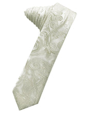 Load image into Gallery viewer, Cardi Self Tie Platinum Tapestry Skinny Necktie