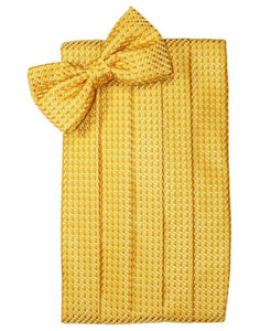 Cardi Gold Venetian Cummerbund