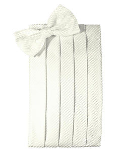 Cardi Ivory Venetian Cummerbund