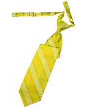 Load image into Gallery viewer, Cardi Pre-Tied Lemon Venetian Stripe Necktie