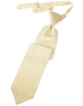Load image into Gallery viewer, Cardi Pre-Tied Light Champagne Venetian Necktie