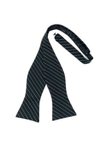 Load image into Gallery viewer, Cardi Self Tie Black Newton Stripe Bow Tie