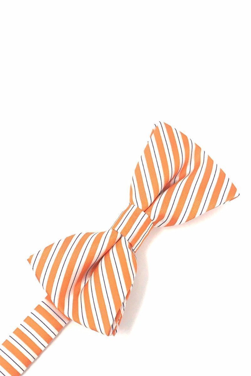Cardi Pre-Tied Orange Newton Stripe Bow Tie