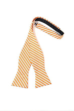 Load image into Gallery viewer, Cardi Self Tie Orange Newton Stripe Bow Tie