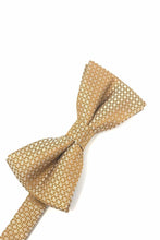 Load image into Gallery viewer, Cardi Pre-Tied Gold Regal Bow Tie