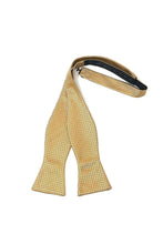 Load image into Gallery viewer, Cardi Self Tie Gold Regal Bow Tie