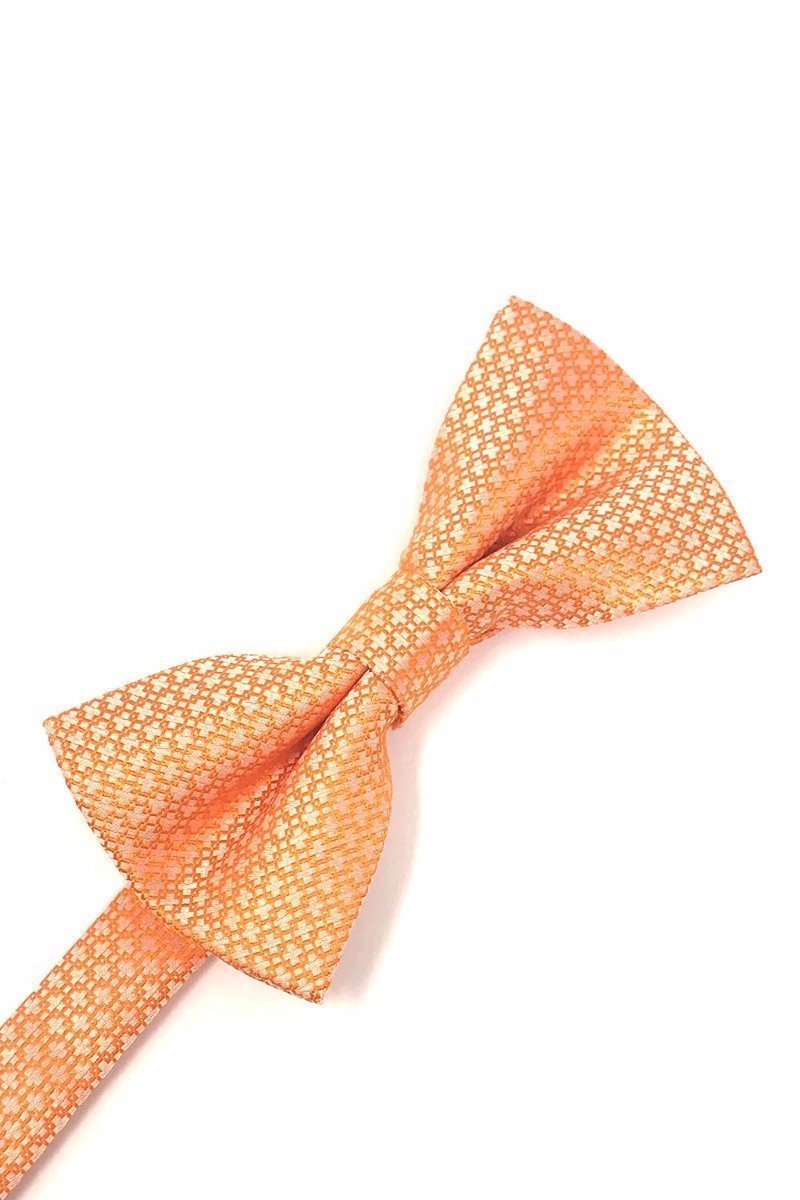Cardi Pre-Tied Orange Regal Bow Tie