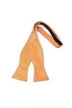 Load image into Gallery viewer, Cardi Self Tie Orange Regal Bow Tie