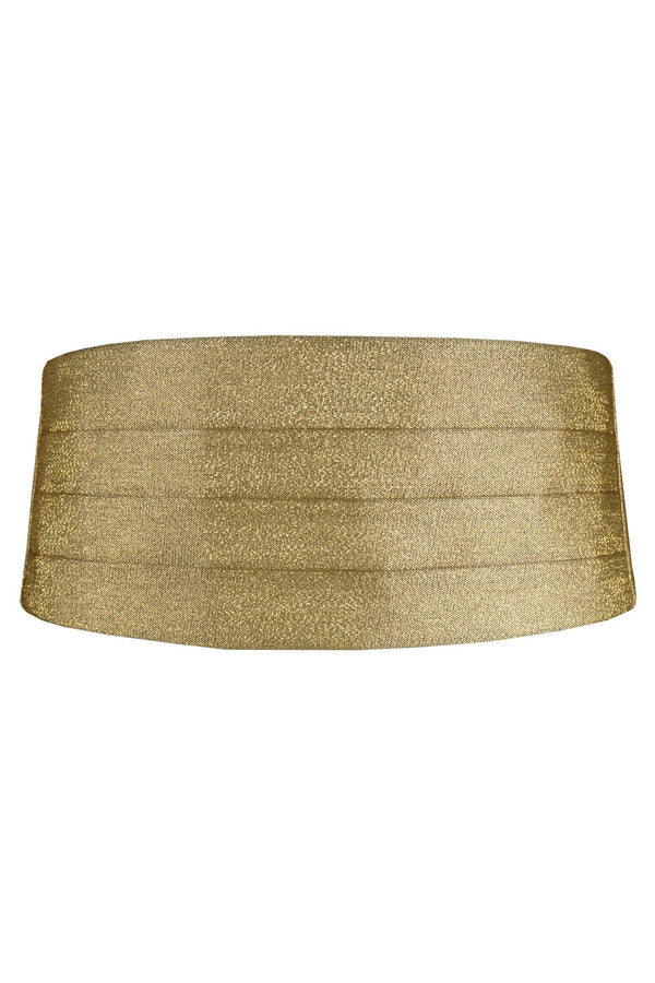 Tux Park Gold Metallic Cummerbund