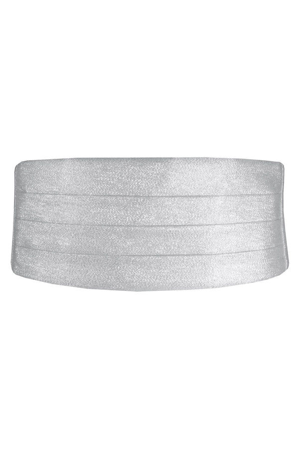 Tux Park Silver Metallic Cummerbund
