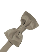 Load image into Gallery viewer, Cardi Pre-Tied Stone Luxury Satin Bow Tie